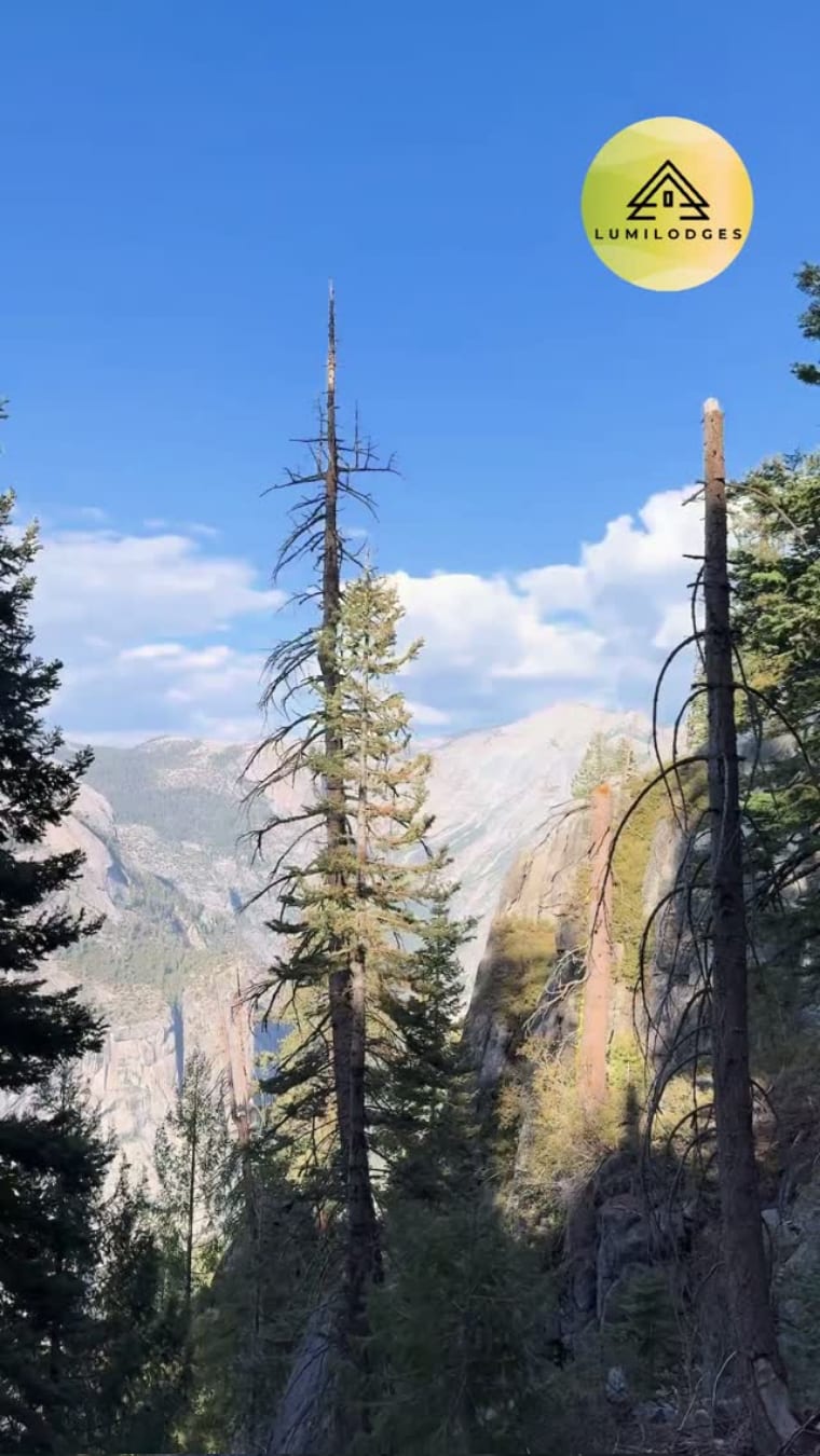 Reel cover: Yosemite valley view between pines at golden hour, LumiLodges watermark.